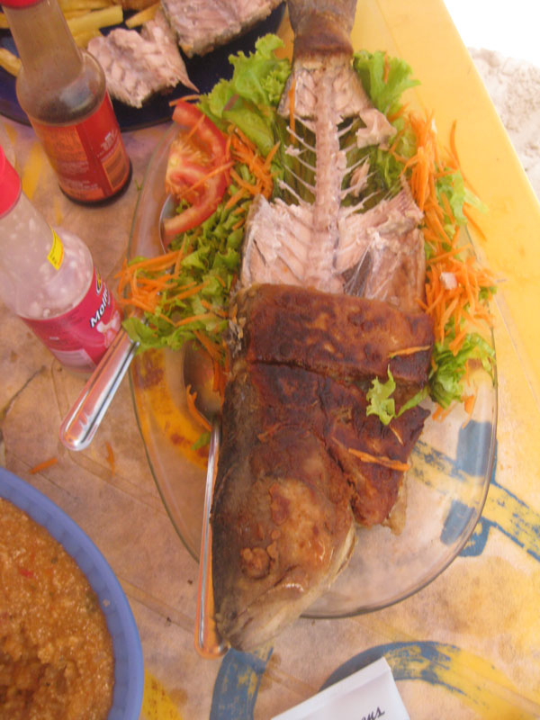 IMG_4300 Anchovy - Ihla do Campeche